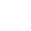 shopify Website